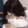 hiba._168