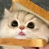 theone_891