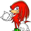 knuckles.the.echinda123