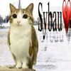 user156916712