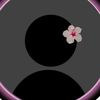 lasl_305