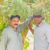 user6220029313874tiktok6