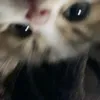 smymn_24