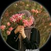 tanvirhassan987987gmail