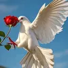 user38224126605973