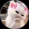 pookie45440