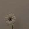 mazeefinds.co