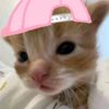 qilaa_ajaa8