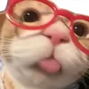 hihihahs12356677