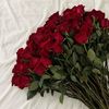 rayan_ao2