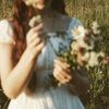 _m0ondaisy