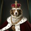 king.doggie4