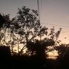 fpadbfa