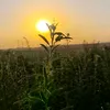 fotgrafcamaru1