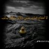 user6358520970051