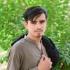 syedharoon434