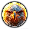 user6340060539635