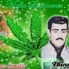 user98812011284985