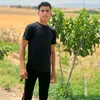 shexany132