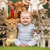 BabyBarn122