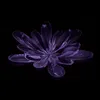 bisii02