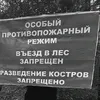 dimonchik3576