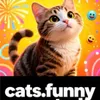 Cats funny wanted 🐈🐈