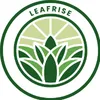 LeafRise