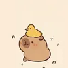 Capy Capybara