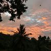 alliip_06
