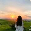 shabiwy1