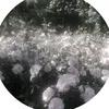 moot_121