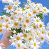 user2551368620050
