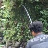 nong40475