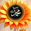 majeed.m12