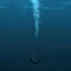 linhngtrc96