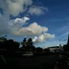 namhom0979