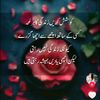sharmili551
