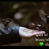 mahaaqpbsyx