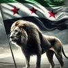rouz.hamdi