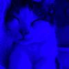 user7068829672824