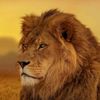 hassan.malik97629