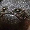 angry.avocado69