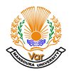 Mansoura University Var