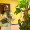 panormaplants
