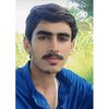 pitafi_7862