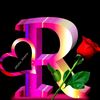 hoshinislam2