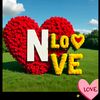 nayab.hassan90