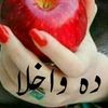 hamauon.alikhils