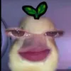 شلەوبرنج